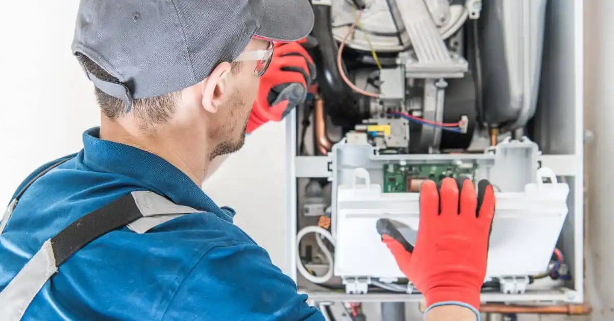 installateur Herbaijum